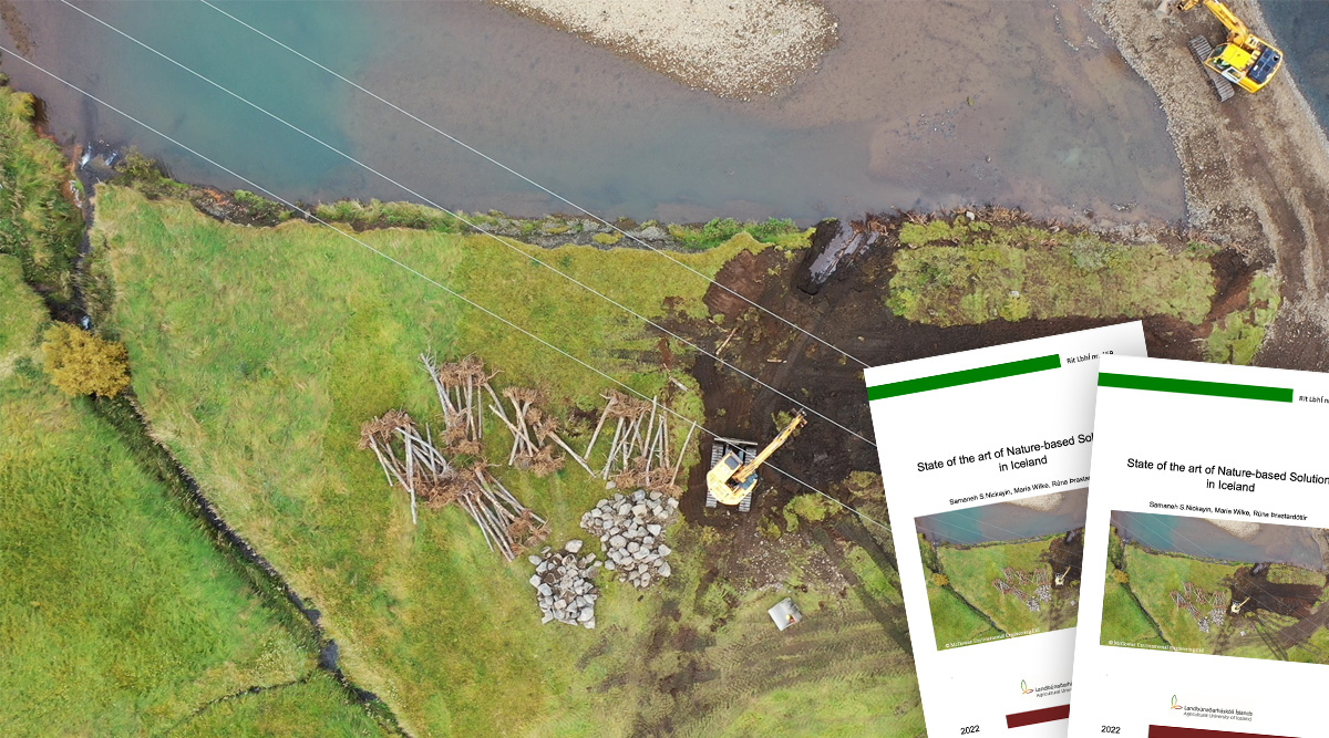 Skýrsla um náttúrumiðaðar lausnir á Íslandi 