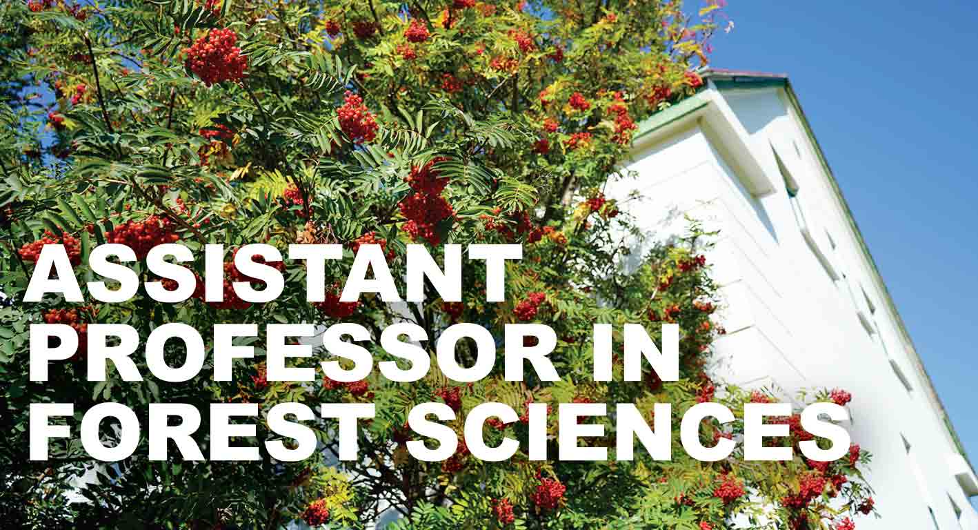 Assistant Professor in Forest Sciences at the Agricultural University of Iceland