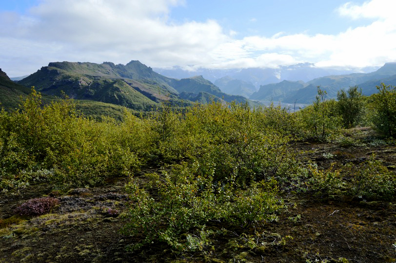 Postdoctoral researcher position at the Agricultural University of Iceland