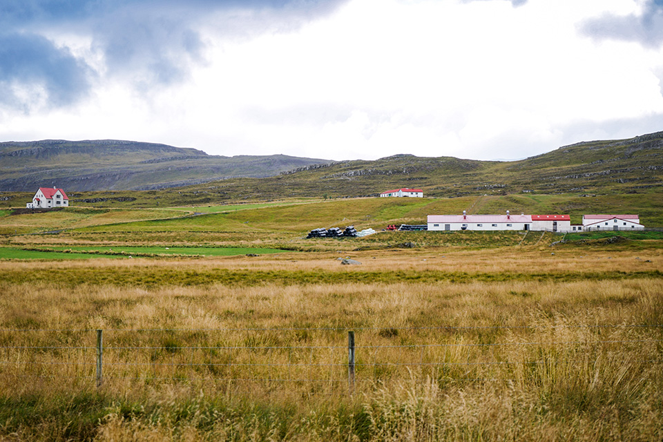 Fagþing sauðfjárræktarinnar og ráðstefna í tilefni 80 ára afmælis Tilraunabúsins á Hesti