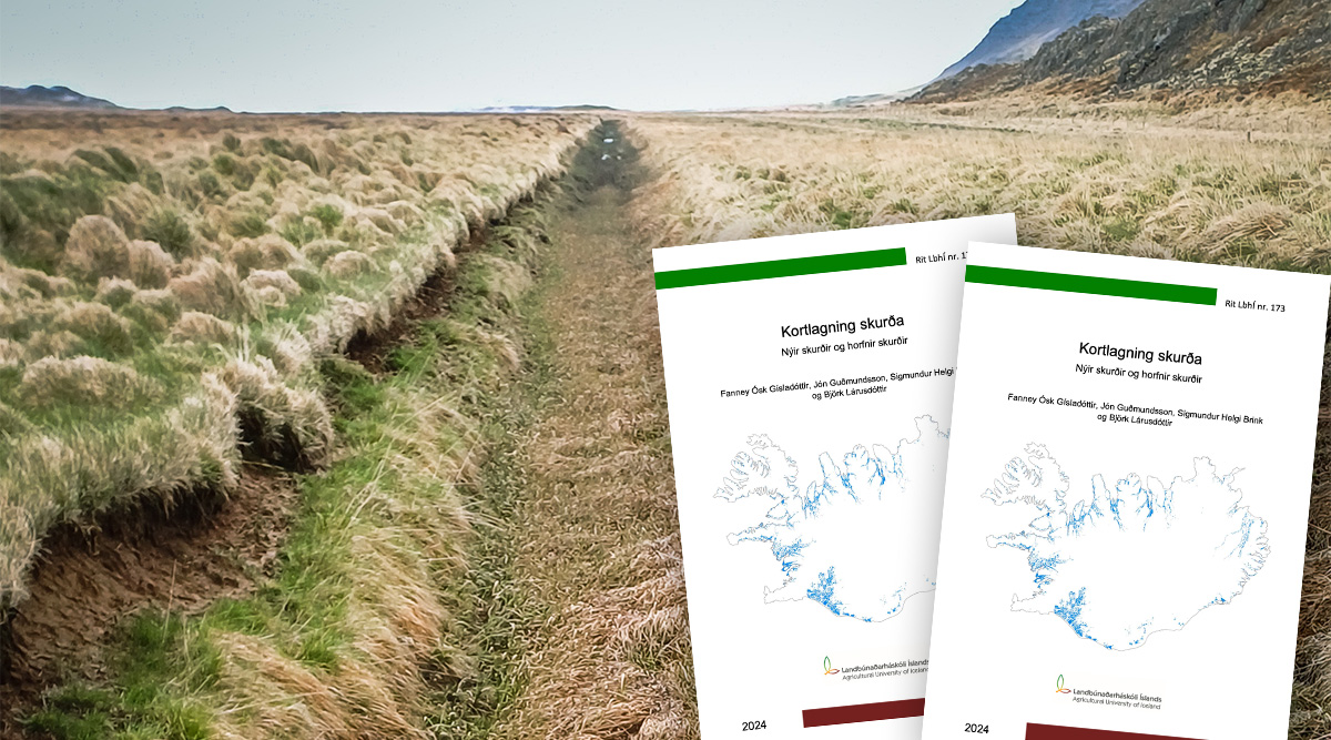 Út er komið rit LbhÍ nr 173: Kortlagning skurða – Nýir skurðir og horfnir skurðir. Höfundar: Fanney Ósk Gísladóttir, Jón Guðmundsson, Sigmundur Helgi Brink og Björk Lárusdóttir
