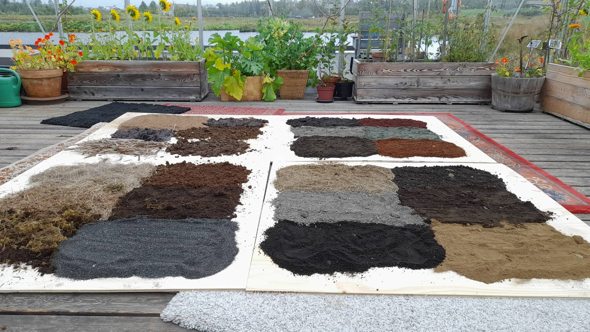 The soils of Iceland tell a unique story